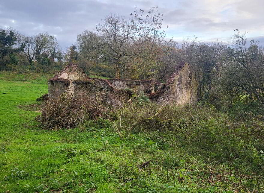 Ballcallen, Fenagh