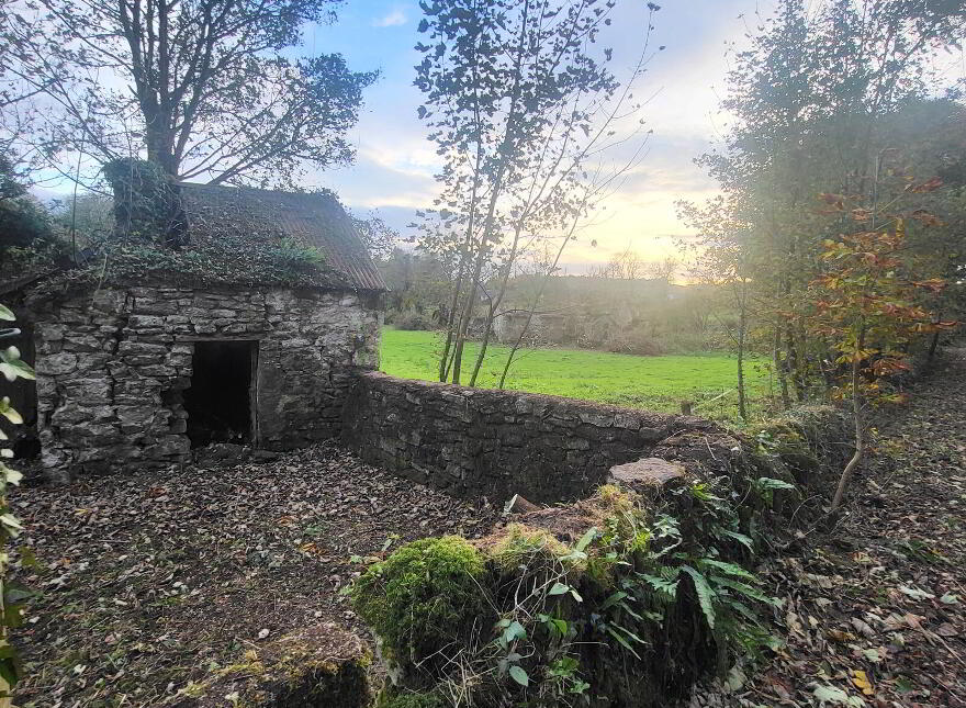 Ballcallen, Fenagh