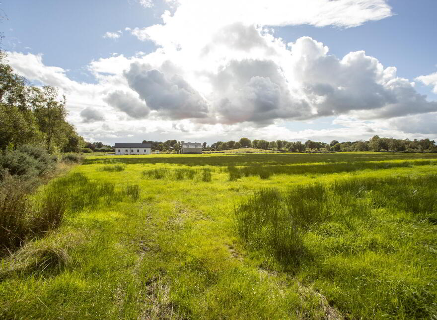 8.4 Acres, The Downs, Mullingar