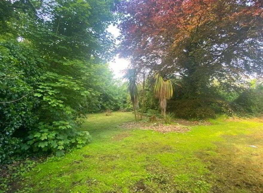 Church Street, Collinstown, N91X791
