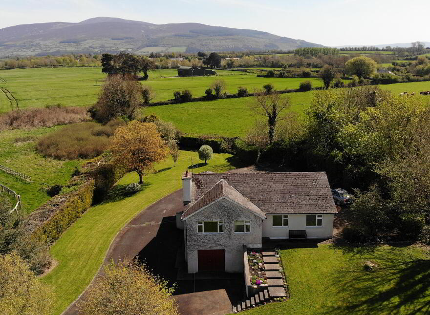 Drumdeel, Fethard, E91P208