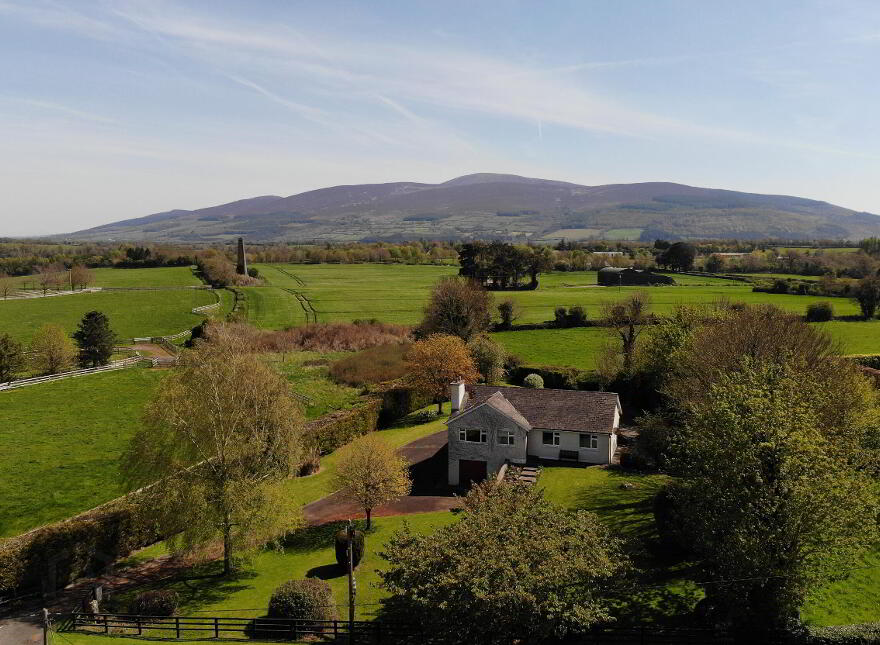 Drumdeel, Fethard, E91P208