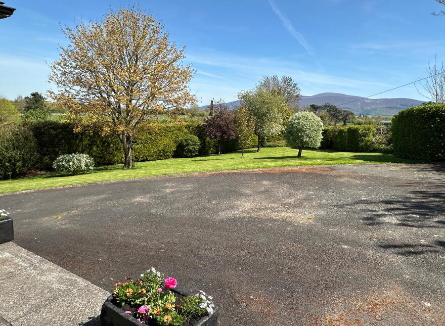 Drumdeel, Fethard, E91P208