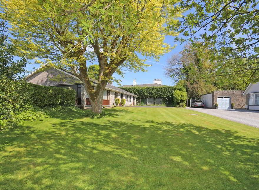 Treetops, Shannon Lawn, North Circular Road, V94TCC4