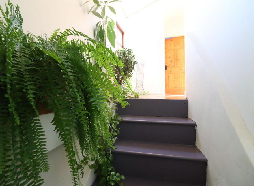 39 Quaker Road, Cork City Centre, Cork City Centre, T12W2CR