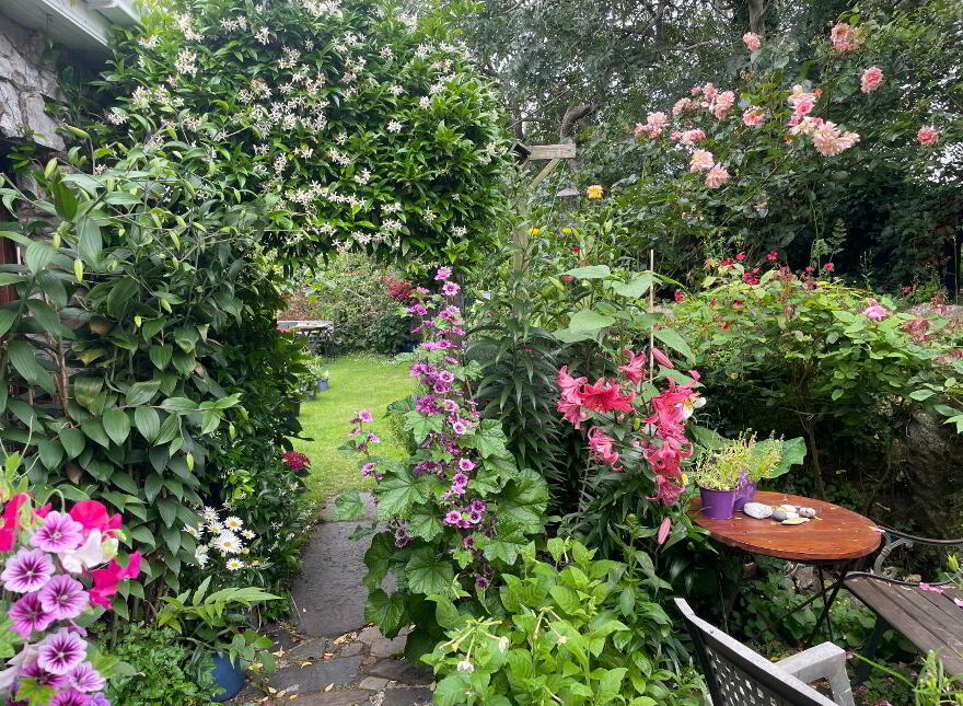 39 Quaker Road, Cork City Centre, Cork City Centre, T12W2CR