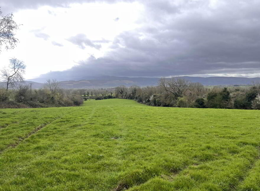 Shanbally, Ballypatrick, Clonmel, E91EP04