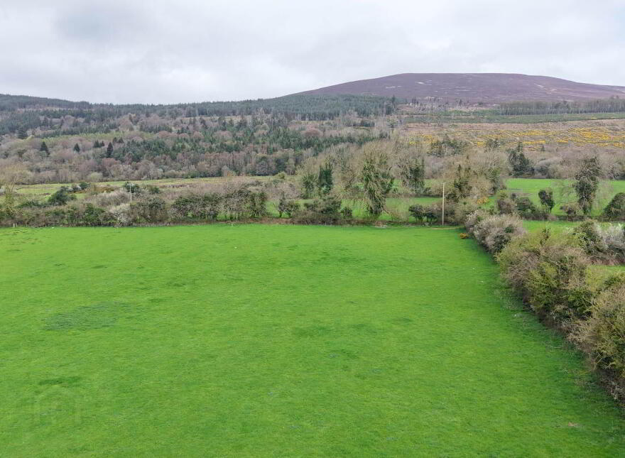 Shanbally, Ballypatrick, Clonmel, E91EP04