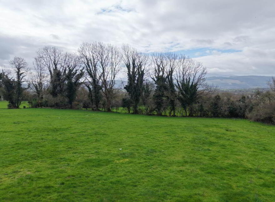 Shanbally, Ballypatrick, Clonmel, E91EP04