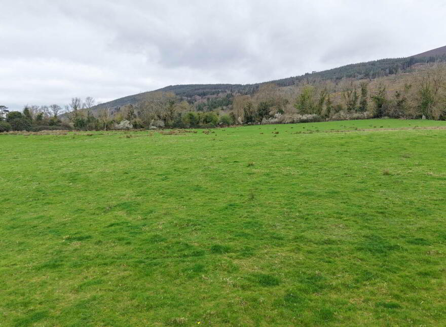 Shanbally, Ballypatrick, Clonmel, E91EP04