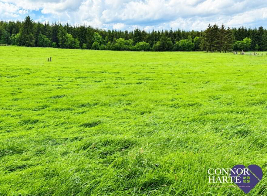 Lands At Crockanboy Road, Creggan, Omagh, BT79 9AB