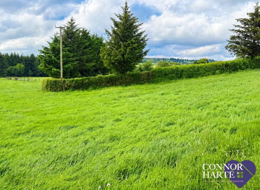 Lands At Crockanboy Road, Creggan, Omagh, BT79 9AB