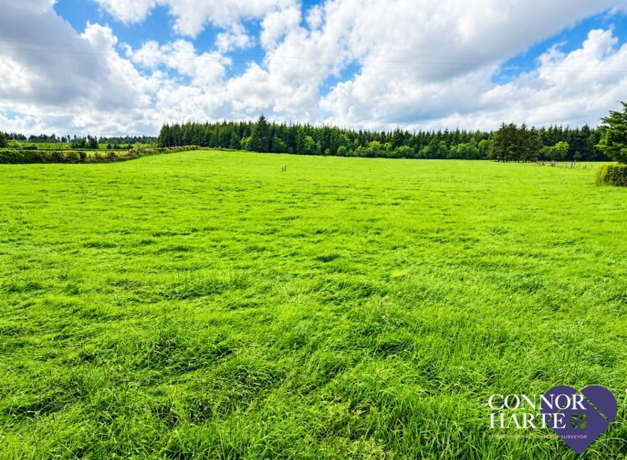 Lands At Crockanboy Road, Creggan, Omagh, BT79 9AB