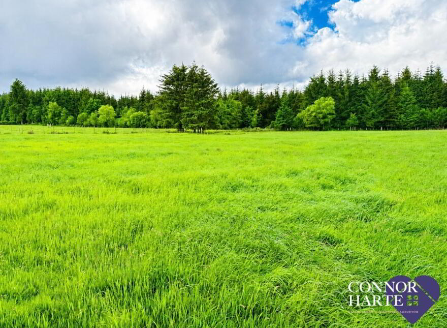 Lands At Crockanboy Road, Creggan, Omagh, BT79 9AB