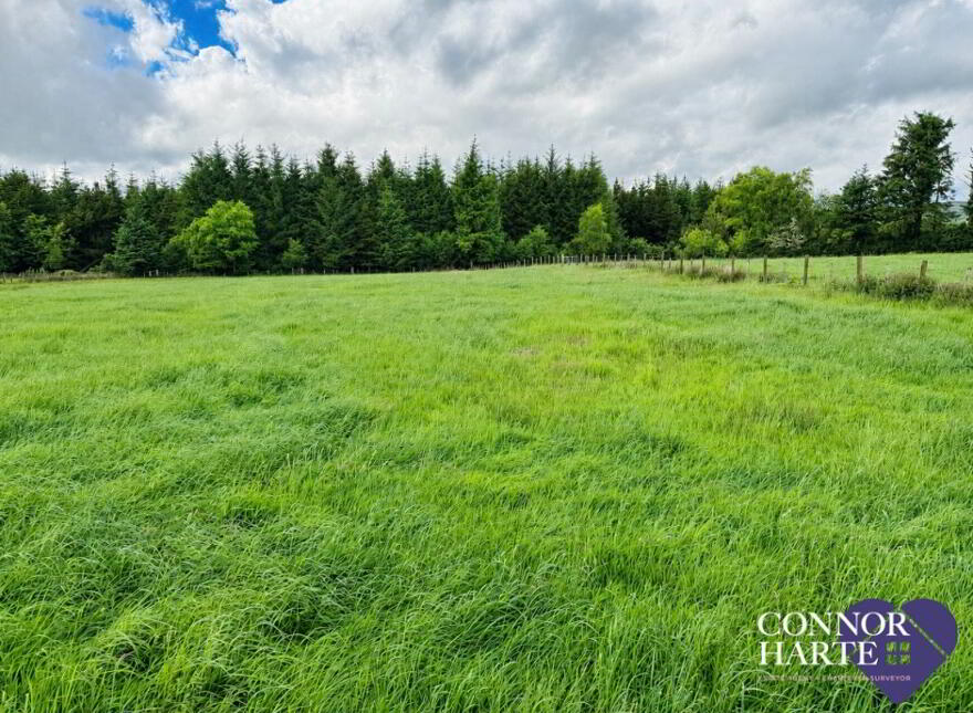 Lands At Crockanboy Road, Creggan, Omagh, BT79 9AB