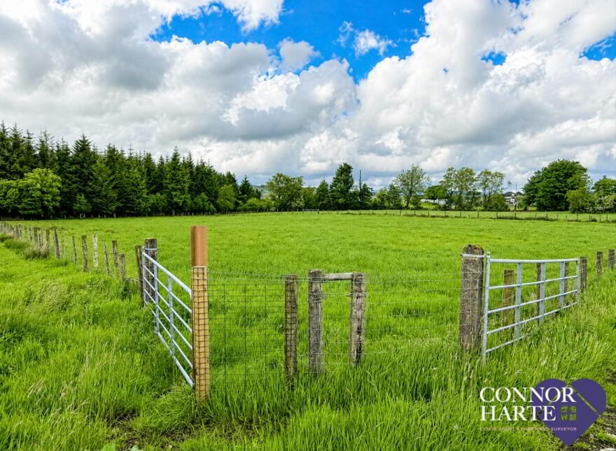 Lands At Crockanboy Road, Creggan, Omagh, BT79 9AB