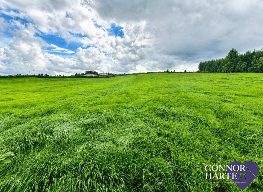 Lands At Crockanboy Road, Creggan, Omagh, BT79 9AB