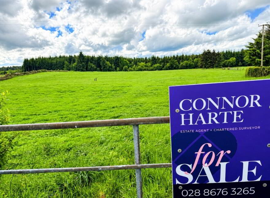 Lands At Crockanboy Road, Creggan, Omagh, BT79 9AB