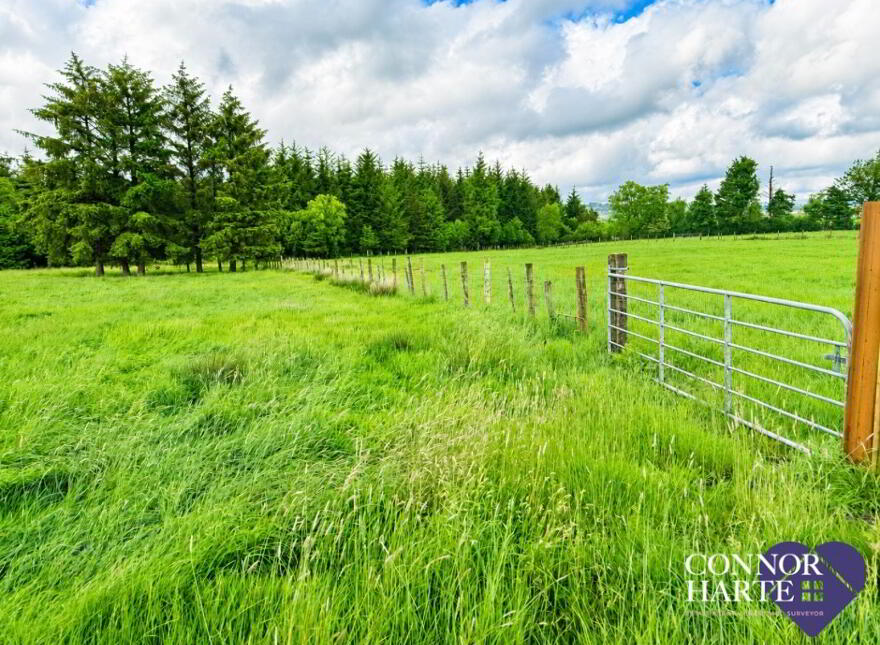 Lands At Crockanboy Road, Creggan, Omagh, BT79 9AB