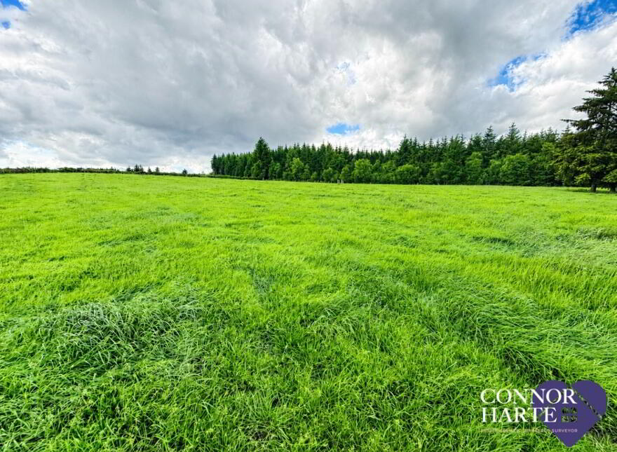 Lands At Crockanboy Road, Creggan, Omagh, BT79 9AB