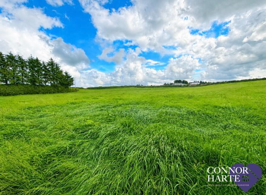 Lands At Crockanboy Road, Creggan, Omagh, BT79 9AB