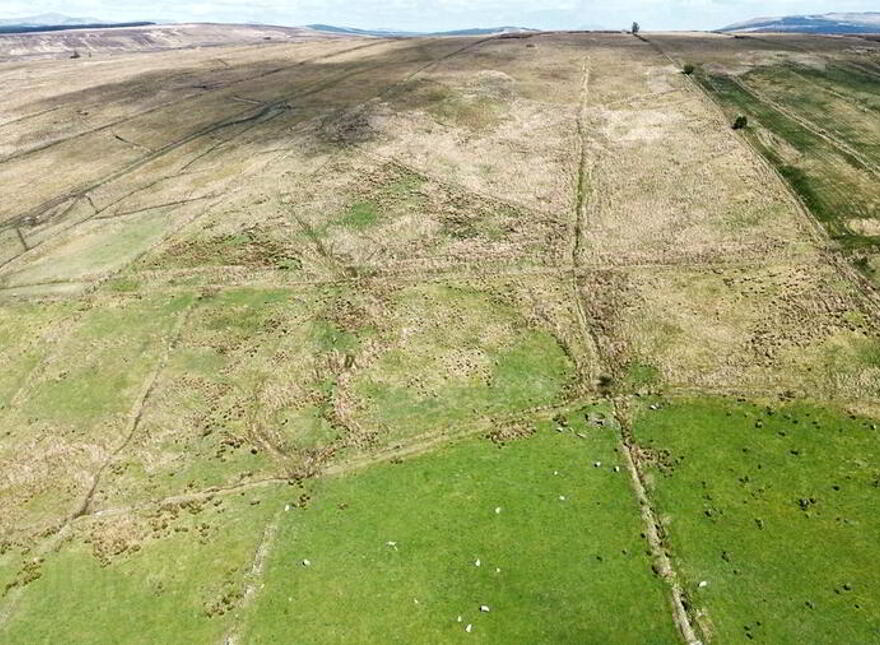 Letterbrick, Cloghan, F93K221