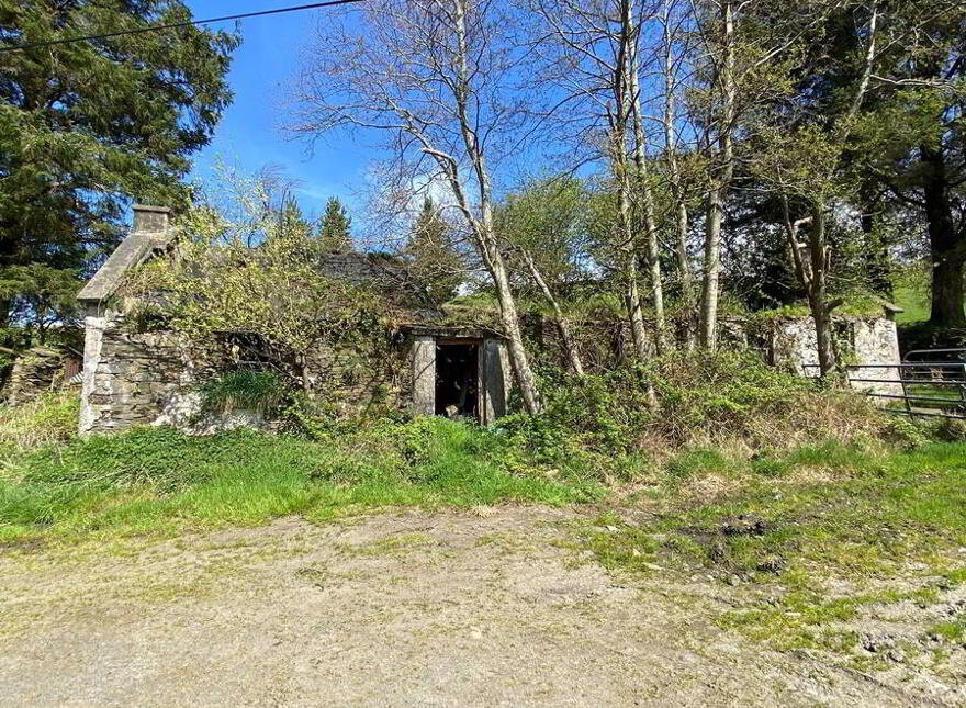 Letterbrick, Cloghan, F93K221