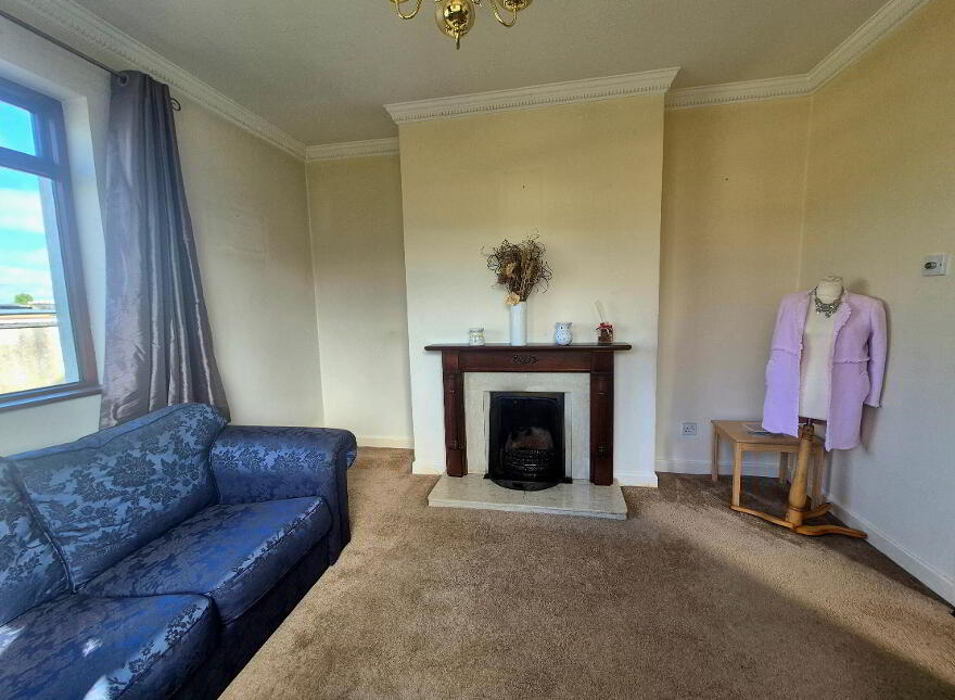 Willow, Ashgrove, Cartrontroy, Athlone, N37N315