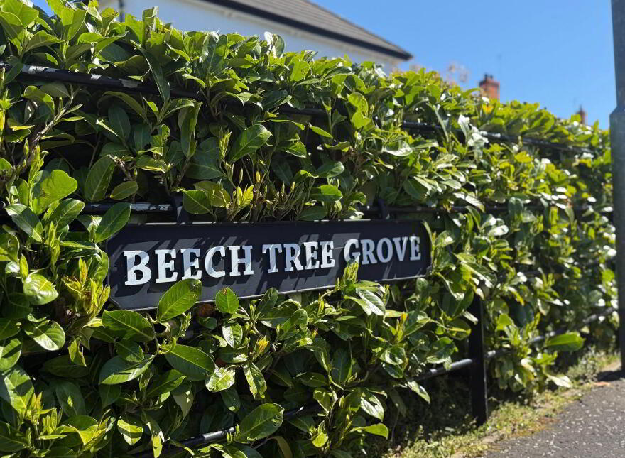 3 Beech Tree Grove, Kilraughts Road, Ballymoney, BT53 7FE