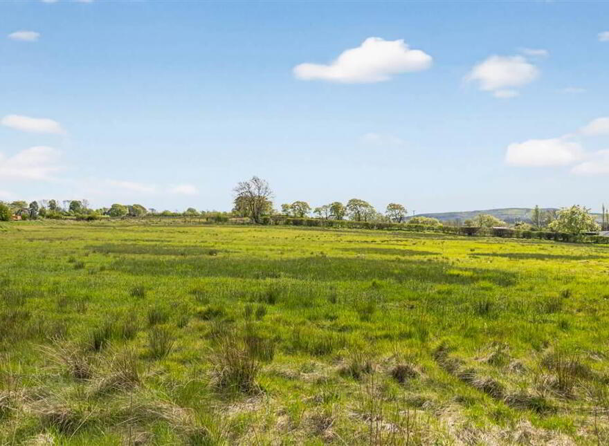 House And 3 Acres, 5 Rock Road, Lisburn, BT28 3SU