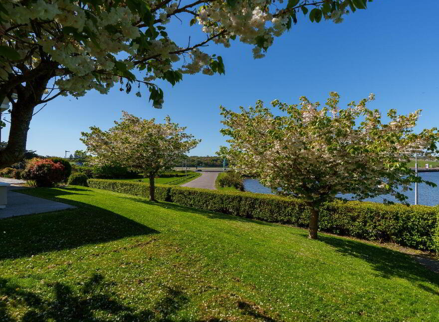 Burgatia, Rosscarbery, Rosscarbery, P85W657