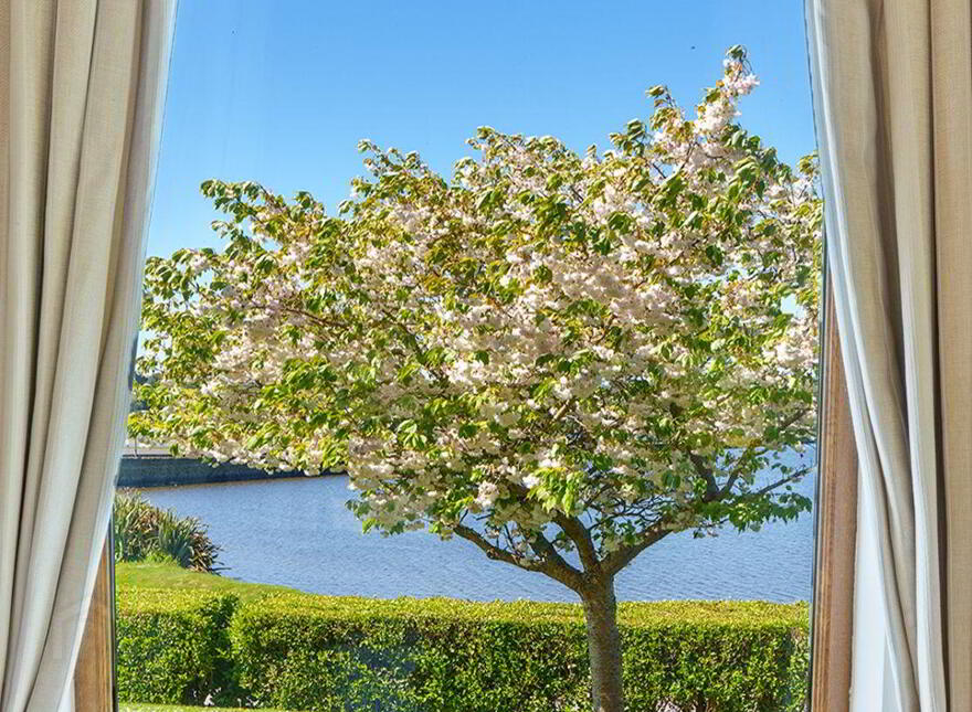 Burgatia, Rosscarbery, Rosscarbery, P85W657