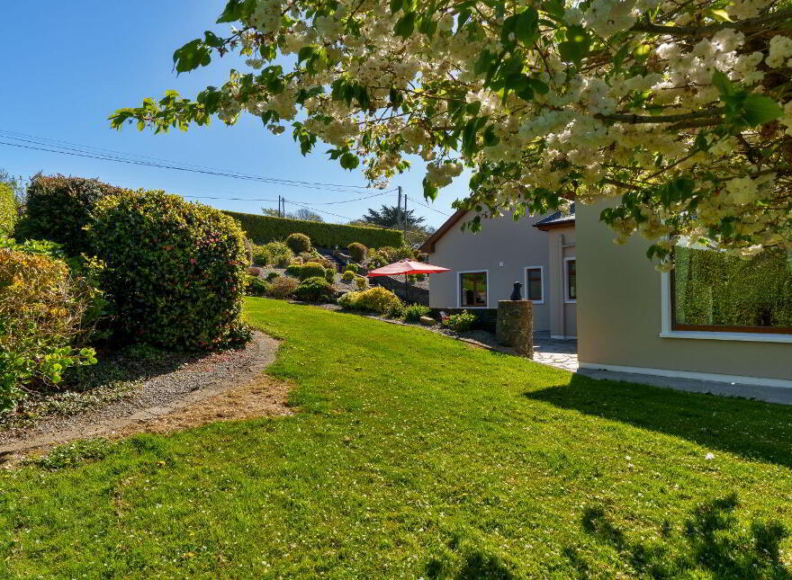 Burgatia, Rosscarbery, Rosscarbery, P85W657