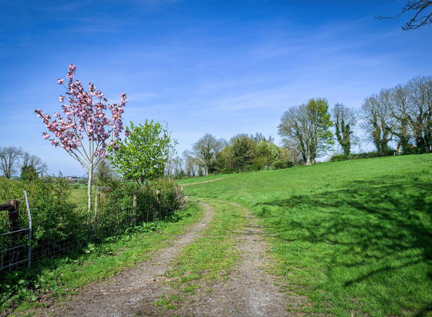 Farm With Circa 47 Acres, Moyanna, 152 Banbridge Road, Donaghcloney, BT66 7PJ