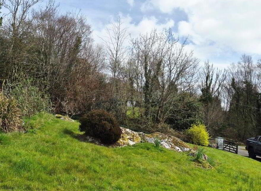 Cornastalk, Manorhamilton, F91K8K7