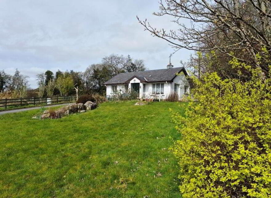 Cornastalk, Manorhamilton, F91K8K7