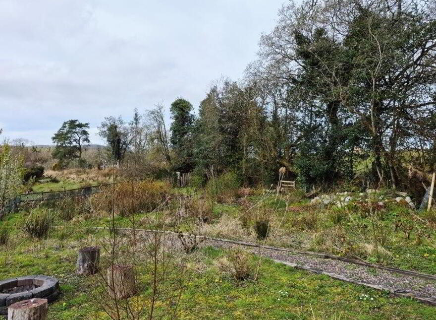 Cornastalk, Manorhamilton, F91K8K7