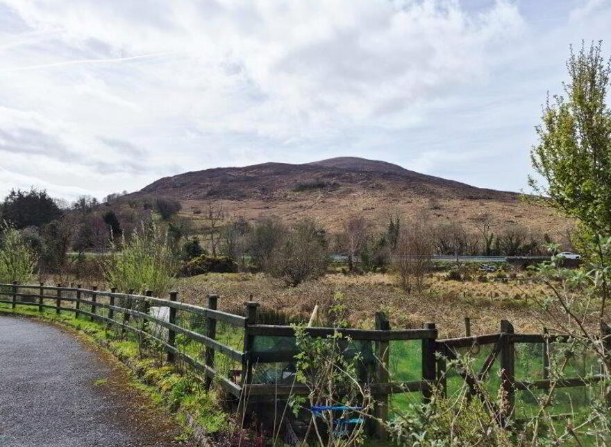 Cornastalk, Manorhamilton, F91K8K7