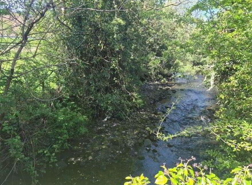 Cornastalk, Manorhamilton, F91K8K7