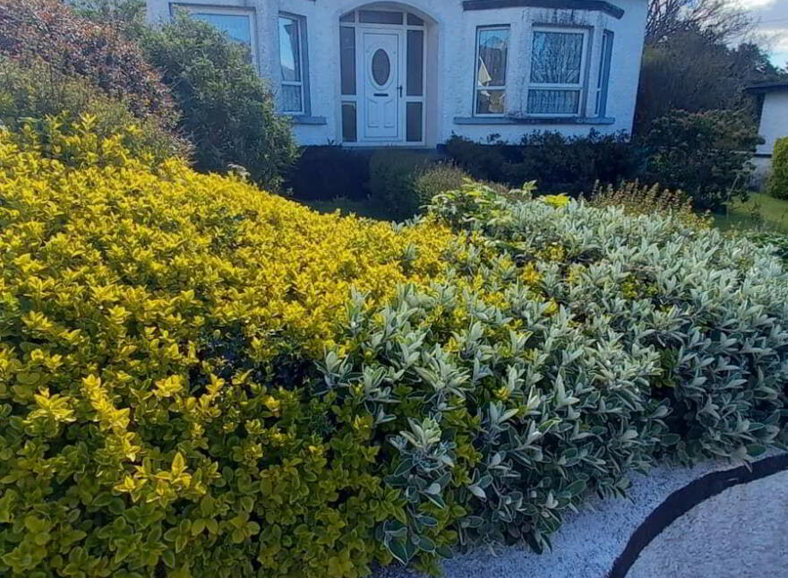 Gortahork, Letterkenny, Falcarragh, F92H9W6