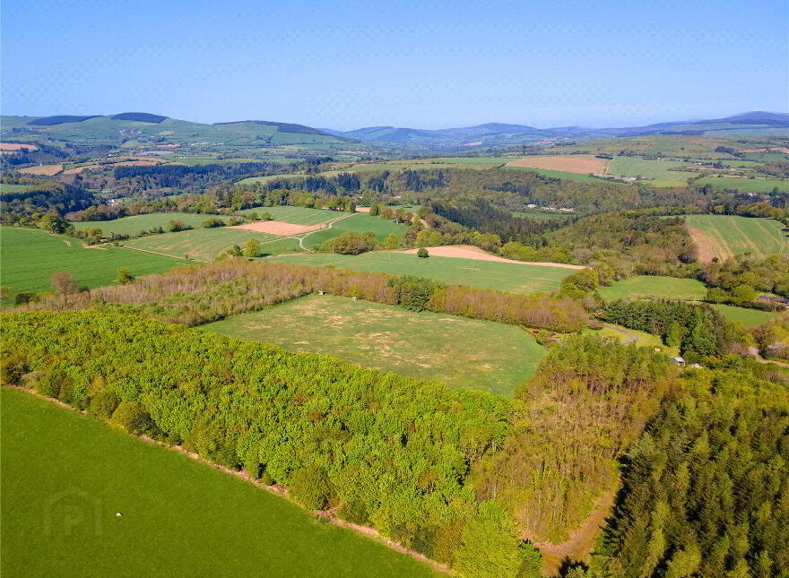 Land, Ballyarthur, Woodenbridge, Y14NC83