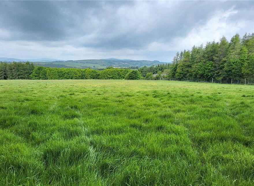 Land, Ballyarthur, Woodenbridge, Y14NC83