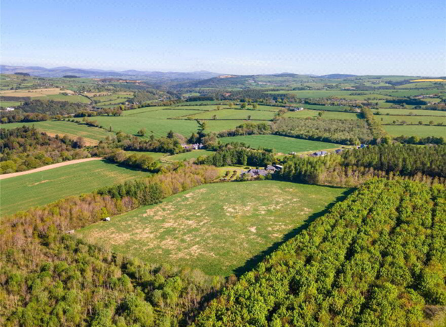 Land, Ballyarthur, Woodenbridge, Y14NC83