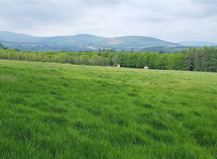 Land, Ballyarthur, Woodenbridge, Y14NC83