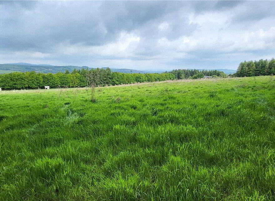 Land, Ballyarthur, Woodenbridge, Y14NC83
