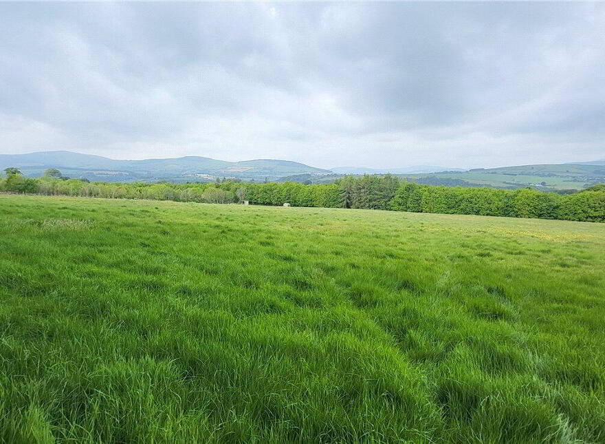 Land, Ballyarthur, Woodenbridge, Y14NC83