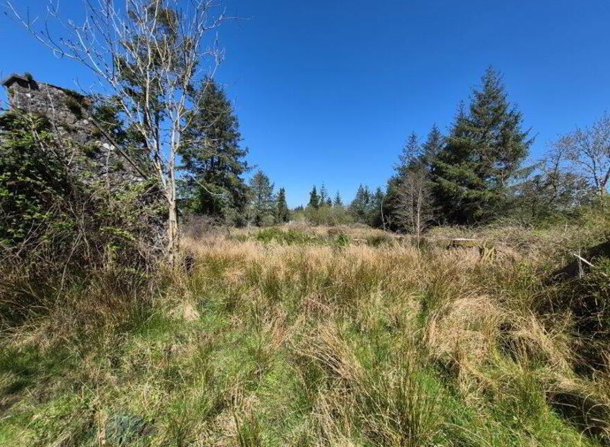 Glenkeel, Kiltyclogher, F91YN28