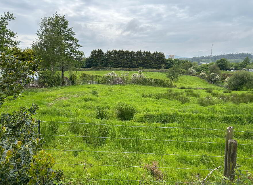 Between 10 & 14, Old Park Road, Loughinisland, BT30 8PS
