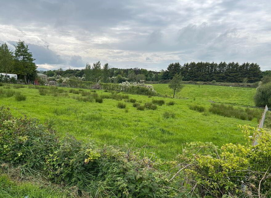 Between 10 & 14, Old Park Road, Loughinisland, BT30 8PS