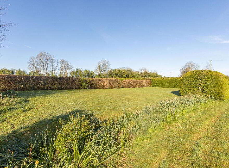 Macetown, Cloghan, N91CC9X